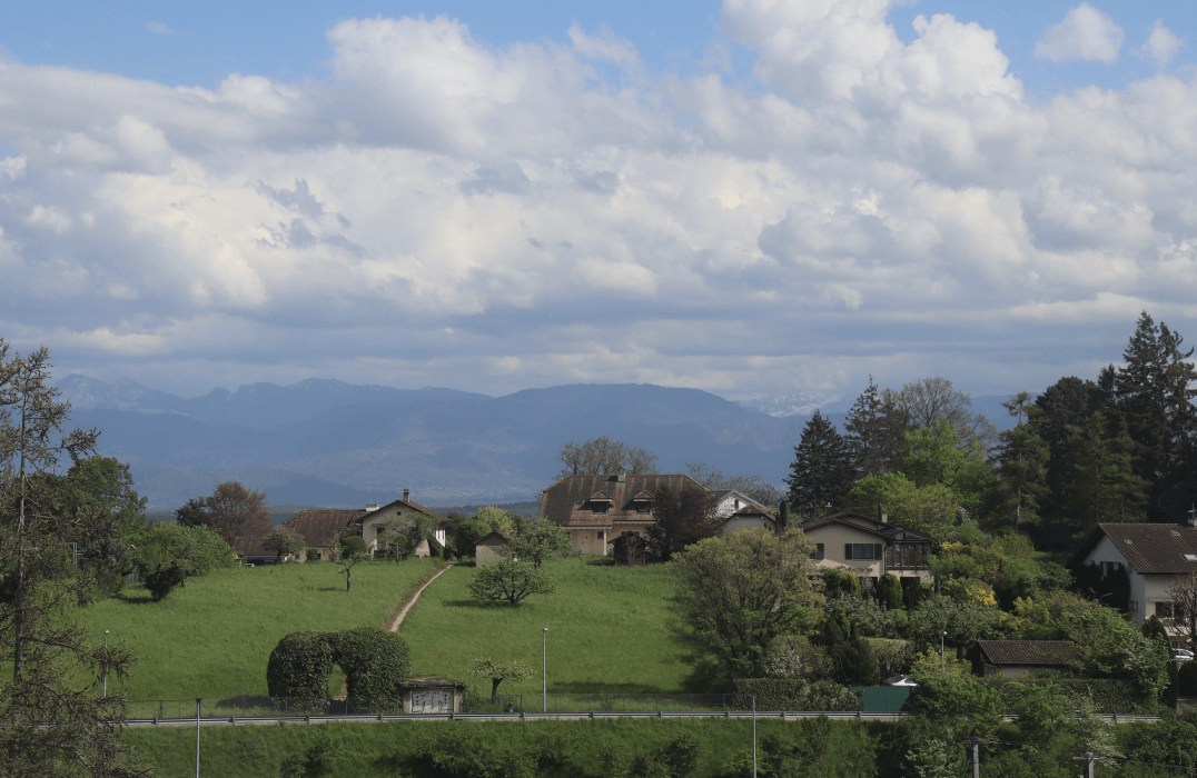 Landscape of green hills